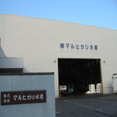 マルヒカリ水産